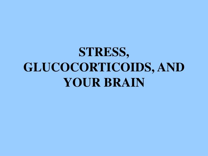 stress glucocorticoids and your brain