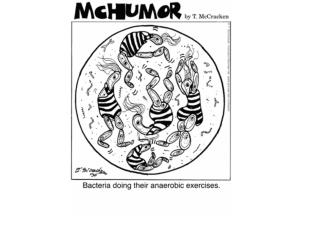 Glycolysis and Fermentation