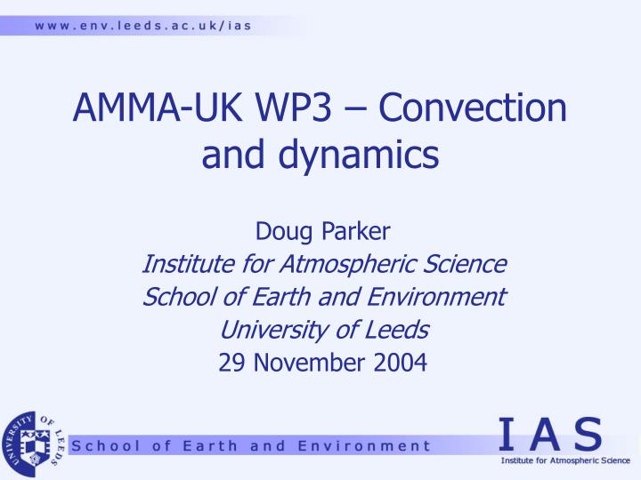 amma uk wp3 convection and dynamics