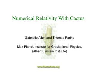 Numerical Relativity With Cactus