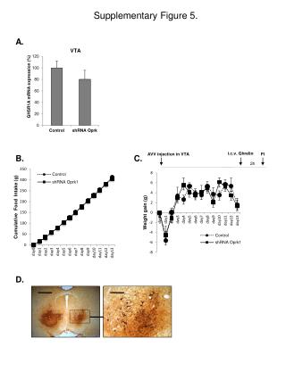 Supplementary Figure 5.