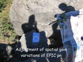 Adjustment of spatial gain variations of EPIC pn