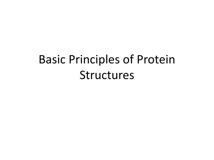 basic principles of protein structures