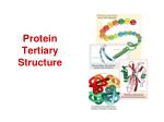 Protein Tertiary Structure - slide 1