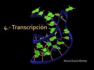 alonso gracia montes