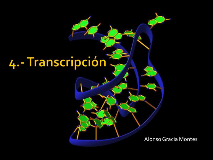 alonso gracia montes