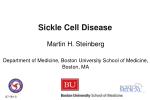 Sickle Cell Disease - slide 1