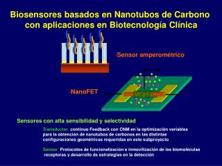 Biosensores basados en Nanotubos de Carbono con aplicaciones en Biotecnolog ía Clínica