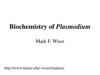 Biochemistry of Plasmodium