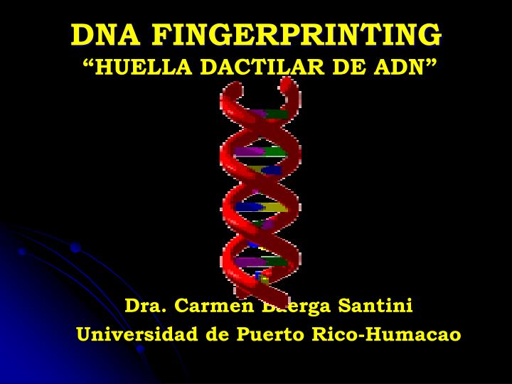 dna fingerprinting huella dactilar de adn