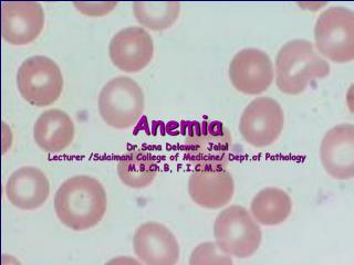 Anemia Dr.Sana Delawer Jalal Lecturer /Sulaimani College of Medicine/ Dept.of Pathology