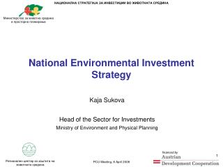 National Environmental Investment Strategy