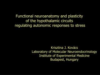 Functional neuroanatomy and plasticity of the hypothalamic circuits