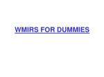 WMIRS FOR DUMMIES