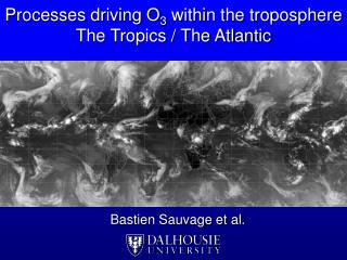Processes driving O 3 within the troposphere The Tropics / The Atlantic