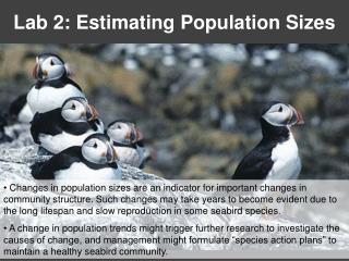 Lab 2: Estimating Population Sizes
