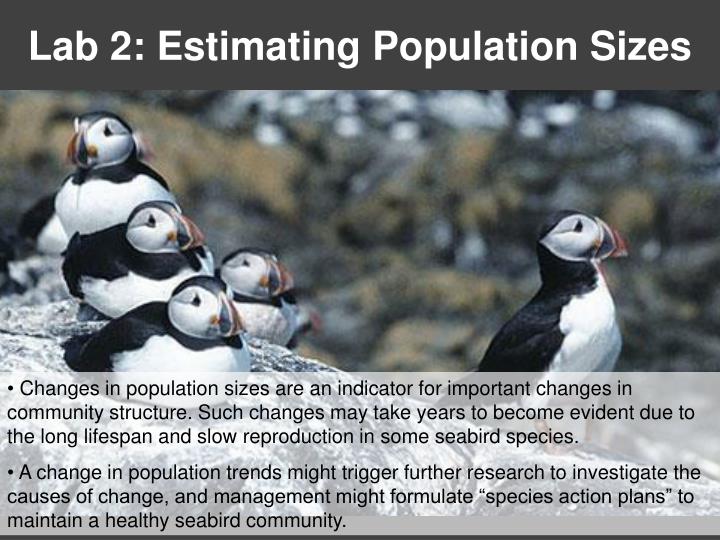 lab 2 estimating population sizes
