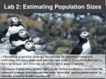 Lab 2: Estimating Population Sizes - slide 1