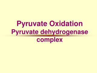 Pyruvate Oxidation Pyruvate dehydrogenase complex