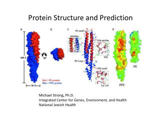 Protein Structure and Prediction