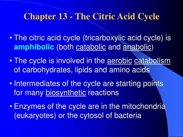 chapter 13 the citric acid cycle