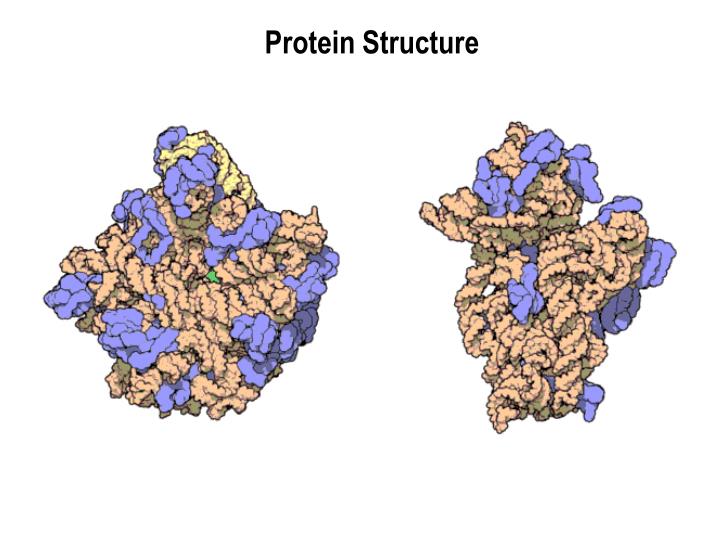 protein structure