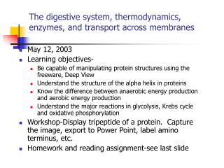 The digestive system, thermodynamics, enzymes, and transport across membranes