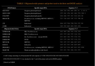 TABLE 1 Oligonucleotide primers and probes used in dot blots and DGGE analysis