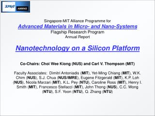 Singapore-MIT Alliance Programme for Advanced Materials in Micro- and Nano-Systems