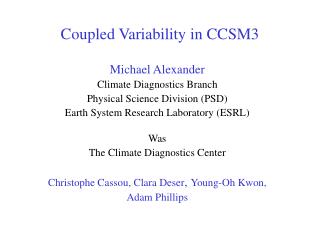Coupled Variability in CCSM3
