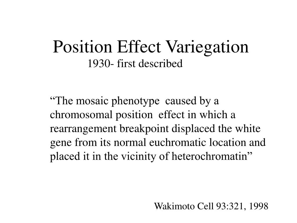 PPT - Position Effect Variegation PowerPoint Presentation, free ...