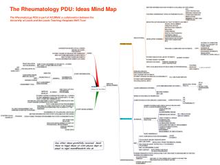 The Rheumatology PDU: Ideas Mind Map