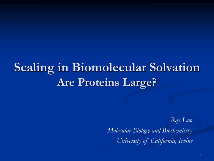 scaling in biomolecular solvation are proteins large