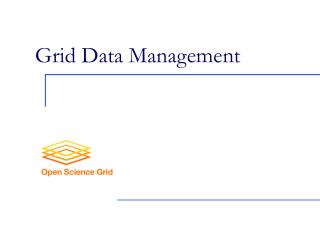 Grid Data Management