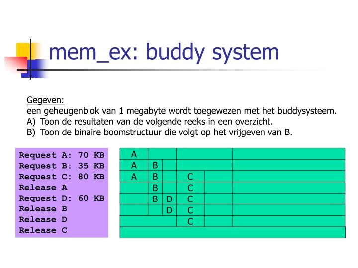 mem ex buddy system