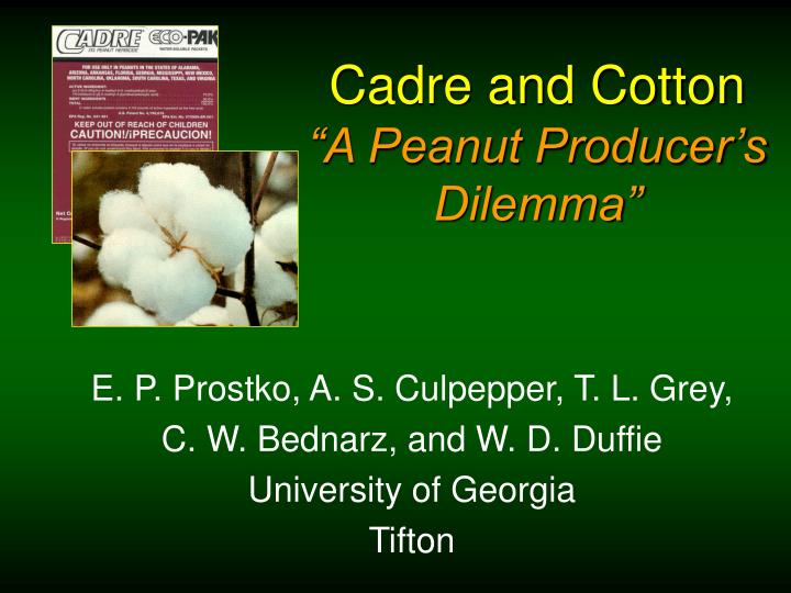 cadre and cotton a peanut producer s dilemma