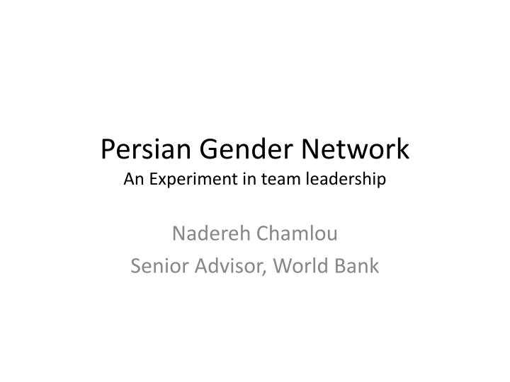 persian gender network an experiment in team leadership