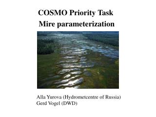 COSMO Priority Task Mire parameterization