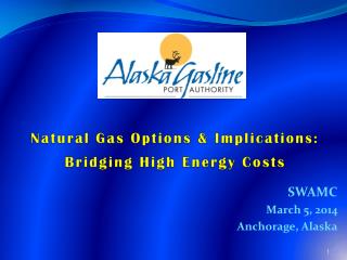 Natural Gas Options &amp; Implications: Bridging High Energy Costs