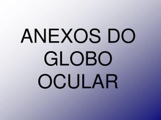 anexos do globo ocular
