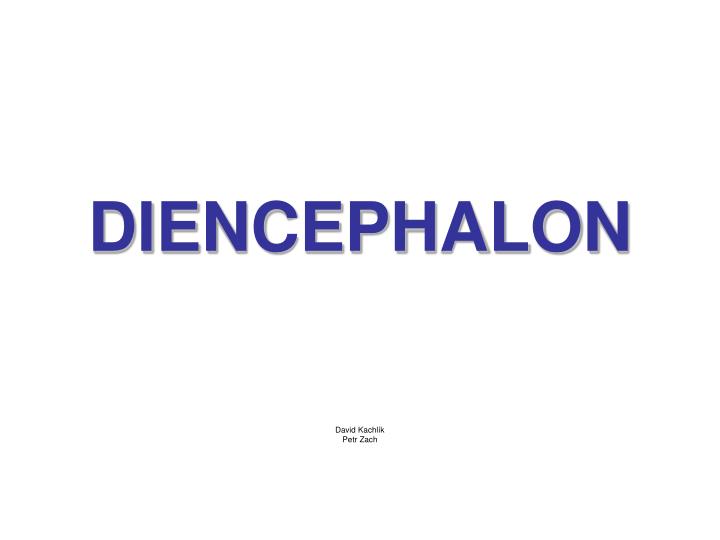 diencephalon