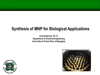 Synthesis of MNP for Biological Applications