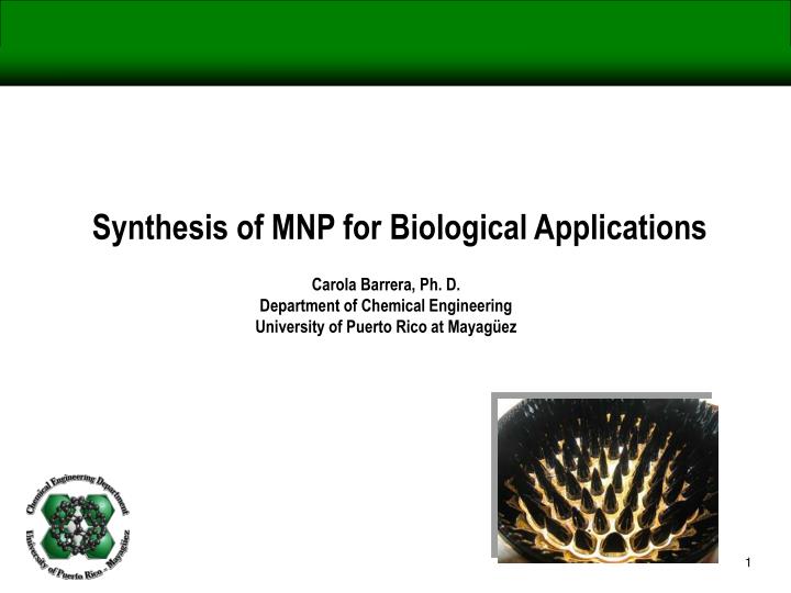 synthesis of mnp for biological applications