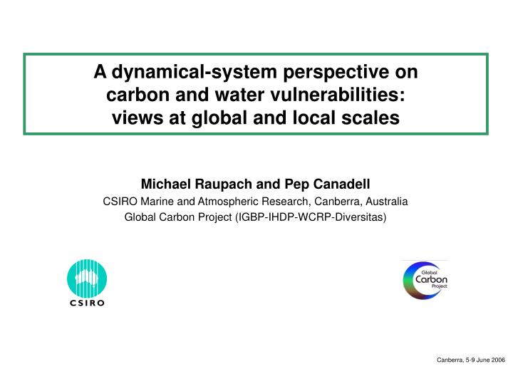 a dynamical system perspective on carbon and water vulnerabilities views at global and local scales