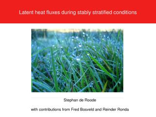 Latent heat fluxes during stably stratified conditions