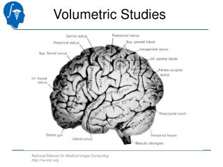 Volumetric Studies