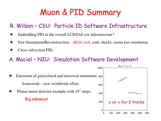 Muon &amp; PID Summary