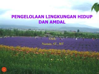 pengelolaan lingkungan hidup dan amdal