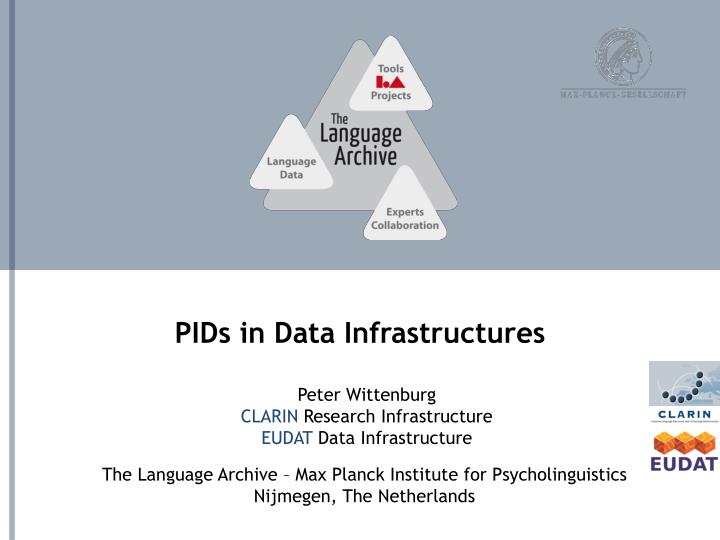 pids in data infrastructures