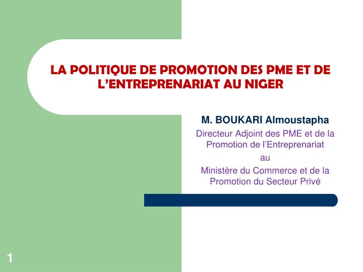 la politique de promotion des pme et de l entreprenariat au niger